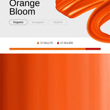 Orange Bloom - Activator