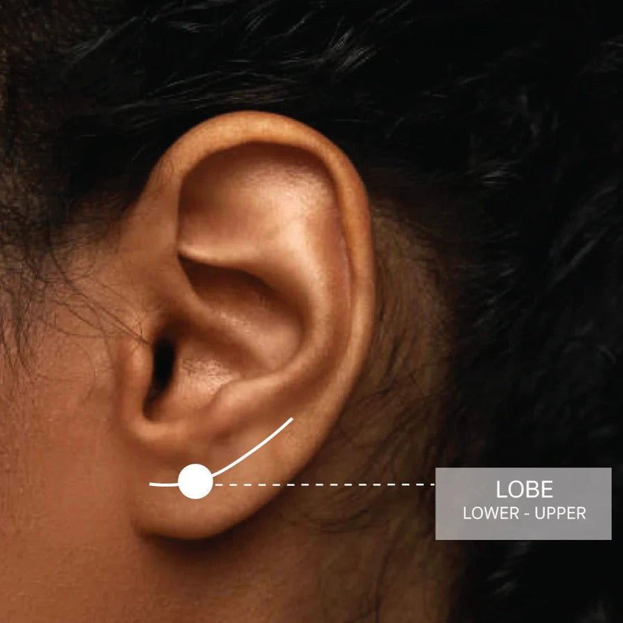 Lobe/Upper Lobe