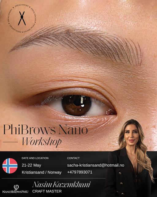 PhiBrows Nano WITH WORKSHOP