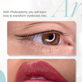 PHICONTOUR WITH WORKSHOP