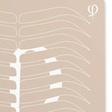 Practising Latex printed shape and outlines 3pcs