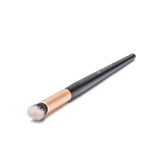 PhiNesse Blending Brush