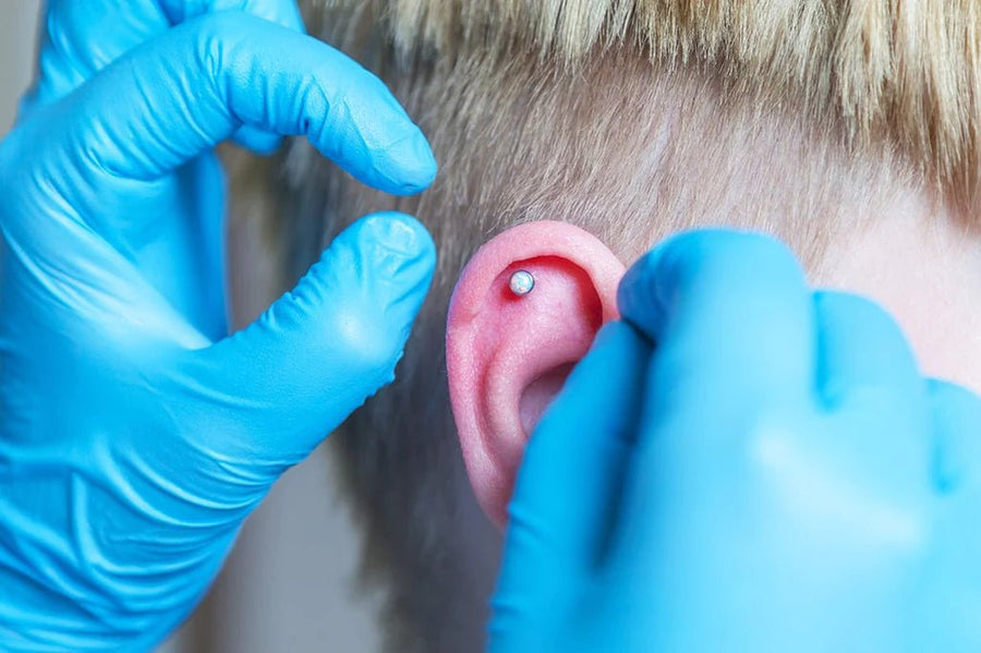 Piercing Øre Alle typer