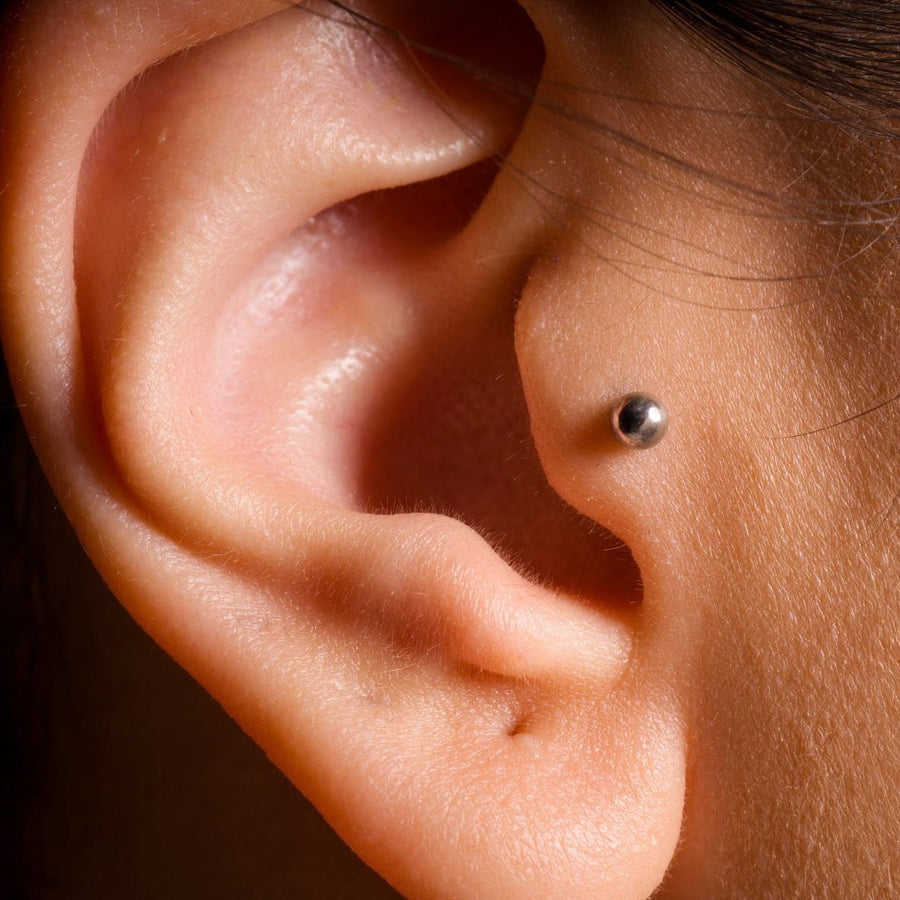 Piercing Øre Alle typer