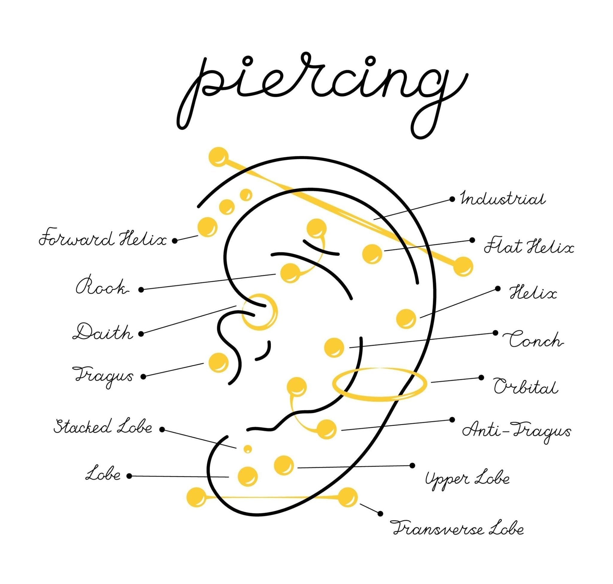 Piercing Conch - Sacha Hudpleie