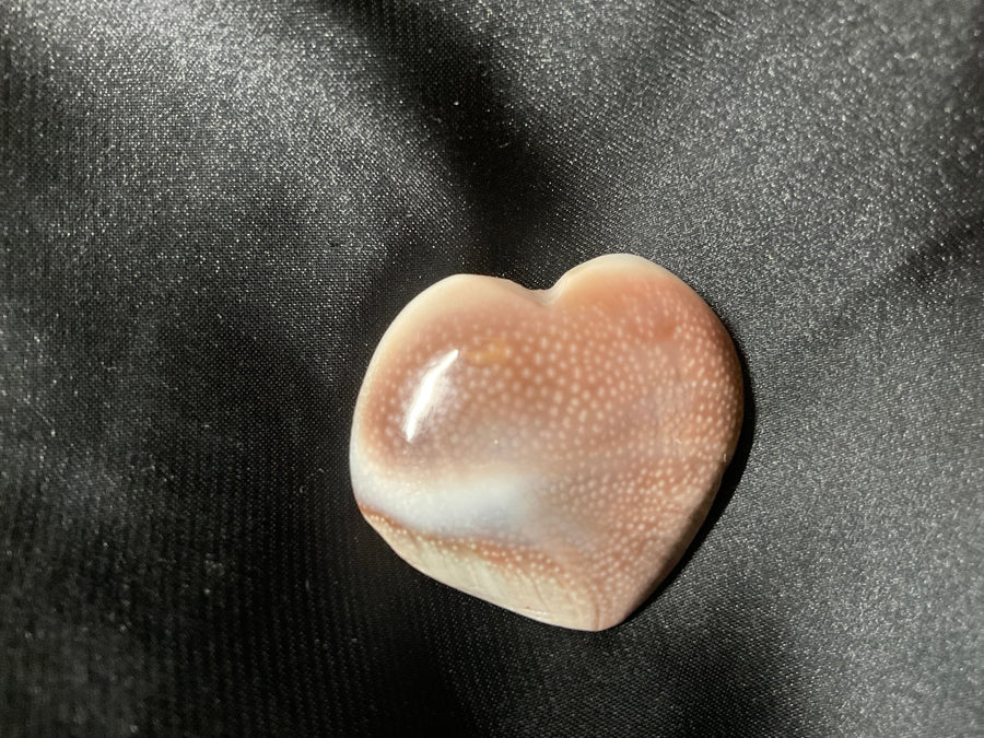 Sun Shell hjerte ca 4 cm - Sacha Hudpleie